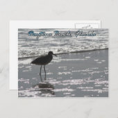 デイトナビーチはがき ポストカード (正面/裏面)