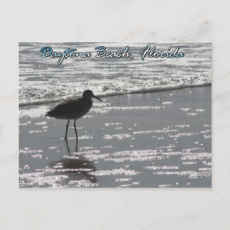 デイトナビーチはがき ポストカード
