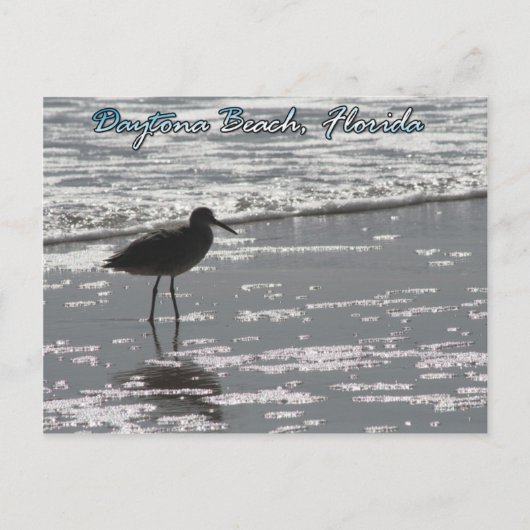 デイトナビーチはがき ポストカード (正面)