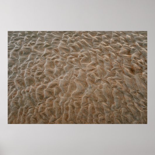 デイトナビーチ ポスター (正面)