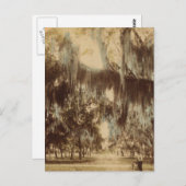 デイトナ葉書の銀色のドレープ ポストカード (正面/裏面)