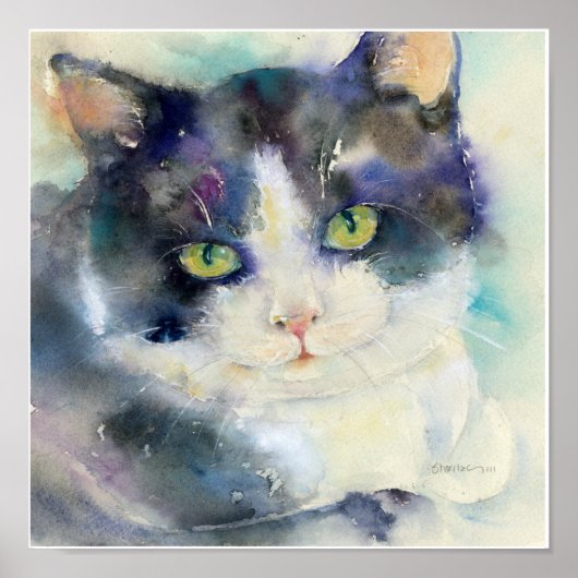 デイドリーマーキャット ポスター (正面)