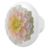 デイドリーマー《植物》スイレンダリア セラミックノブ (右)