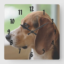 デイドリーミングビーグル