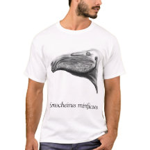 デイノシェラス