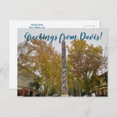 デイビスさんからの挨拶! ポストカード (正面/裏面)