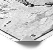 デイビッド・ブレイナー ポスター (角)