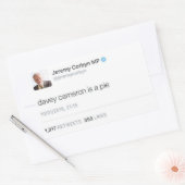 デイビーキャメロンはパイ 長方形シール (封筒)