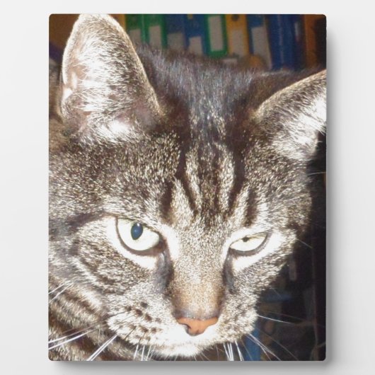 デイブが見守る フォトプラーク (正面)