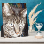 デイブが見守る フォトプラーク (側面)