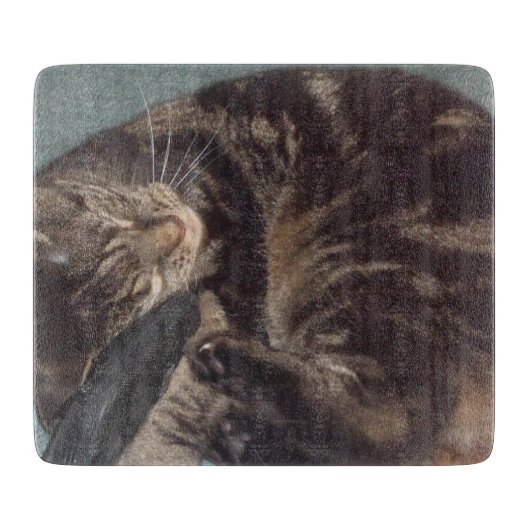 デイブよくはしゃぐ装飾用ガラスの板 カッティングボード (正面)