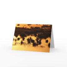 デイブレイクのアヒル