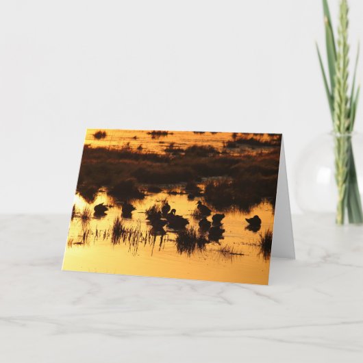 デイブレイクのアヒル カード (正面)