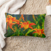 デイリリトリオ ランバークッション (ブランケット)