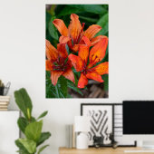 デイリリーの植物画、カナダの写真 ポスター (ホームオフィス)