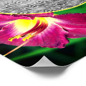 デイリリーの花フレーム オリジナル写真で作成 ポスター (角)