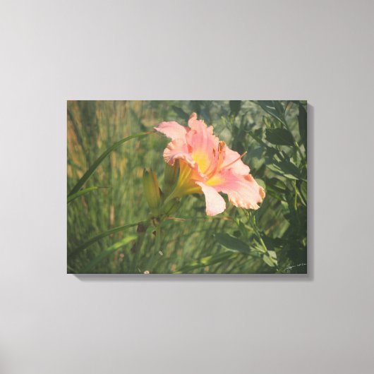 デイリリーインザサンキャンバスプリント キャンバスプリント (正面)