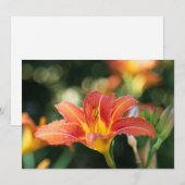 デイリリーフラワーフラットサンキューカード サンキューカード (正面/裏面)