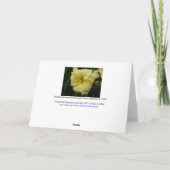 デイリリーフラワー カード (裏面)