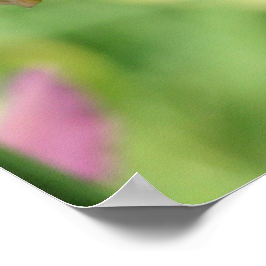 デイリリー庭園 ポスター (角)