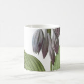 デイリリー（エメロカリス・ケルーレア）バイレドゥーテ コーヒーマグカップ (中央)
