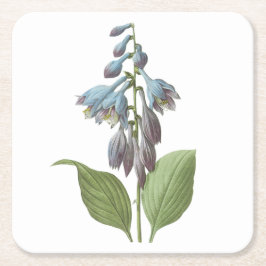 デイリリー（エメロカリス・ケルーレア）バイレドゥーテ スクエアペーパーコースター