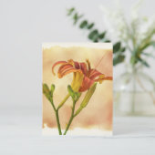 デイリリー – エメロカリス ポストカード (スタンド正面)