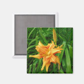 デイリリー：オレンジ – マグネット (正面/裏面)