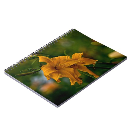 デイリリー「ジャージースパイダー」 ノートブック (左側)