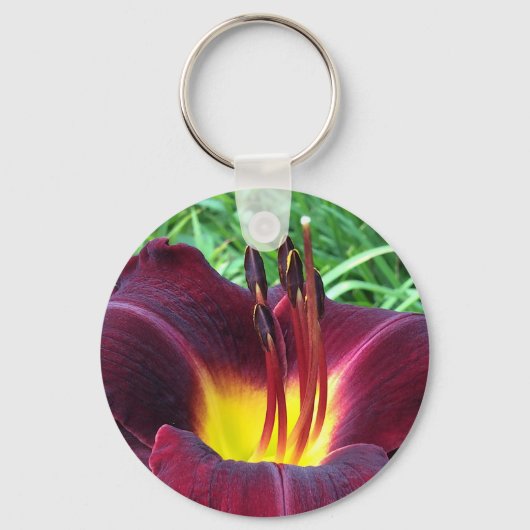 デイリリー"ドミニク" Bダークワイン。 キーホルダー (正面)