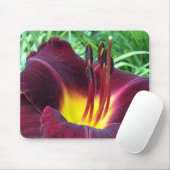 デイリリー"ドミニク" B.ダークワイン。 マウスパッド (マウス)