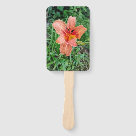 デイリリー ハンドファン (正面)