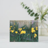 デイリリー ポストカード (スタンド正面)