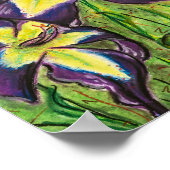 デイリリー「ラウラハルウッド」 ポスター (角)