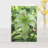 デイリリー「天国待つ」 カード (黄色い花)