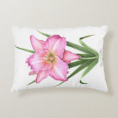 デイリリー – 究極のピンク アクセントクッション (正面)