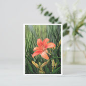 デイリーはがき ポストカード (スタンド正面)