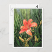 デイリーはがき ポストカード (正面/裏面)