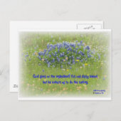 デイリーパン ポストカード (正面/裏面)