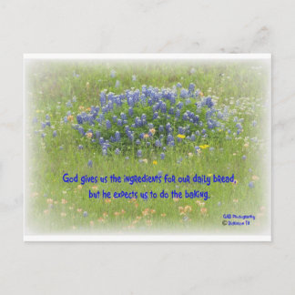 デイリーパン ポストカード