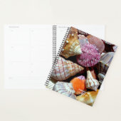 デイリープランナーとシーシェルテーマ- HAMbWG プランナー手帳 (ディスプレー)