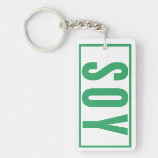 デイリーリマインダー車の鍵ハウス鍵 キーホルダー