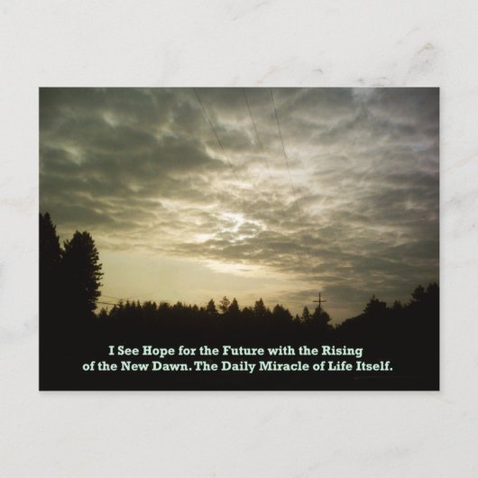 デイリー・ミラクル・ポストカード ポストカード (正面)