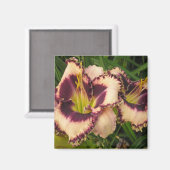 デイリ素晴らしー磁石 マグネット (正面/裏面)