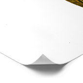 デイレフィラチェリーオ – つる植物ホーク – モス ポスター (角)