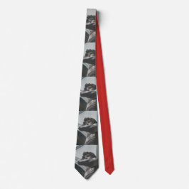 デイヴィッドのおもしろいのタイ ネクタイ