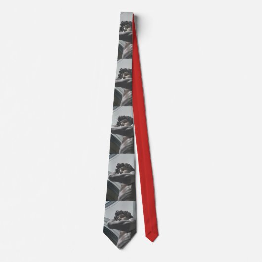 デイヴィッドのおもしろいのタイ ネクタイ (正面)