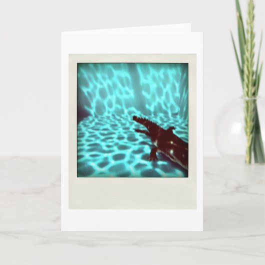 デイヴィッドのプール07c04のflou 3dのコンピュータ・アートカード カード (正面)