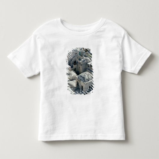 デイヴィッドの墓の外面 トドラーTシャツ (正面)
