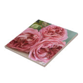 デイヴィッドオースティンの旧式英国のバラの伝統 タイル (側面)